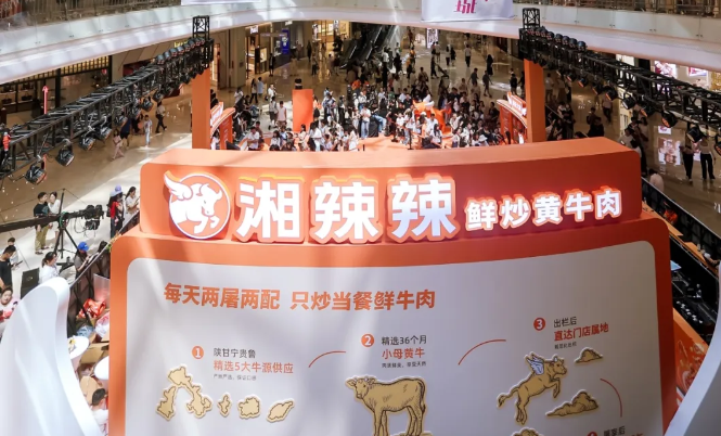 100家店的湘辣辣“只炒当餐鲜牛肉”，真能做到吗？